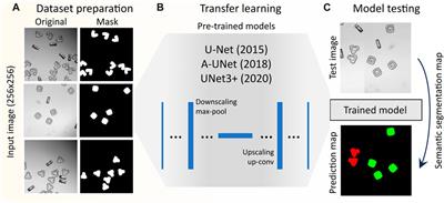 Deep learning based recognition of shape-coded microparticles